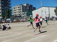 DSCN1647.jpg