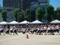 DSCN1678.jpg