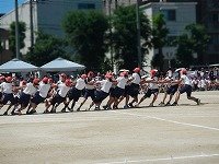 DSCN1680.jpg