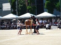 DSCN1700.jpg