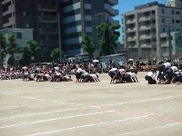 DSCN1782.jpg