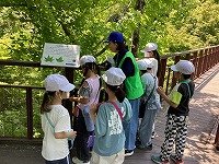 IMG_4982.jpg