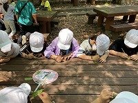 IMG_5005.jpg