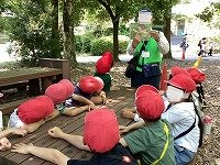 IMG_4977.jpg