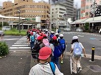 IMG_0733.jpg