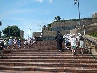 DSCN2238.jpg