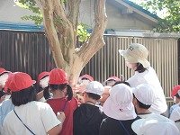 DSCN2904.jpg