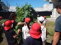 DSCN2907.jpg