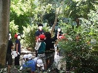DSCN2915.jpg