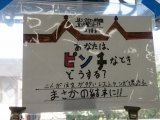 08作品紹介.jpg