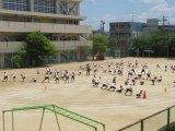 ５年ソーラン.jpg