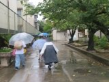 今日も雨.jpg