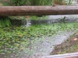 13雨.jpg
