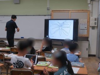3-2理科で昆虫の体.jpg