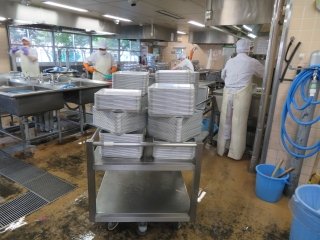 IMG_7404.jpg