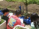 ９フィールドワーク.jpg