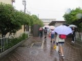 12雨.jpg