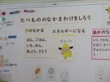 1食育仲間分け.jpg