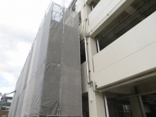 D-1.jpg