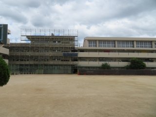 D-2.jpg