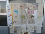 IMG_7333.jpg