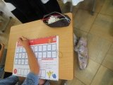 IMG_7347.jpg