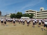 IMG_7452.jpg