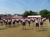 IMG_7453.jpg