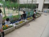 IMG_7482.jpg