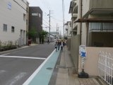 IMG_7493.jpg
