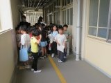 IMG_7528.jpg