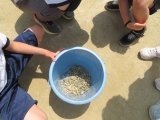 IMG_7545.jpg