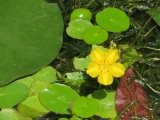 IMG_7552.jpg