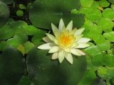 IMG_7553.jpg