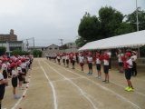 IMG_7606.jpg