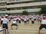 IMG_7617.jpg