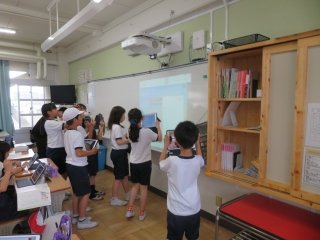 IMG_7619.jpg