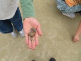 IMG_7684.jpg