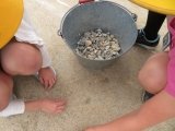 IMG_7685.jpg