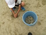 IMG_7686.jpg