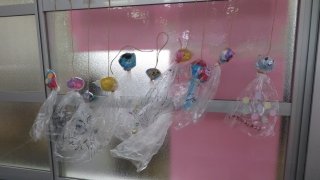 IMG_7975.jpg