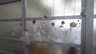 IMG_7976.jpg