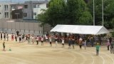 IMG_7987.jpg