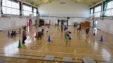 IMG_8446.jpg