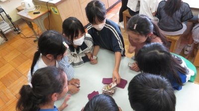 IMG_8516.jpg