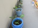 IMG_5241.jpg