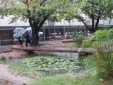 あめ.jpg