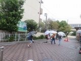 02雨の東欧.jpg