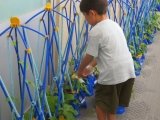 命に水やり.jpg