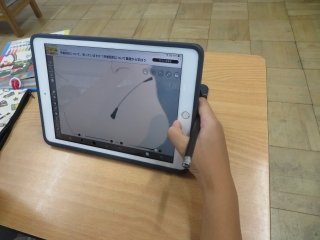 写楽拡大.jpg